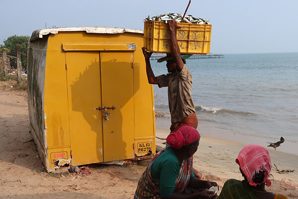 Man carrying crate full of fish from the shore
