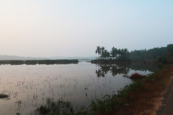 peaceful waterside scene at dusk