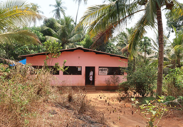 shop building set in palm trees
